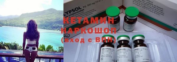 ешки Бородино
