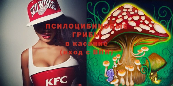 ешки Бородино