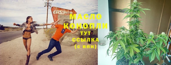 бошки Бронницы