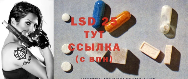 PSILOCYBIN Белоозёрский