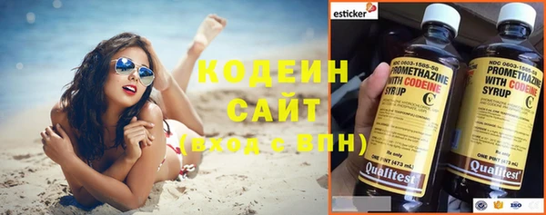 ешки Бородино